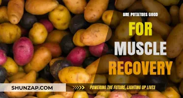 Potatoes and Muscle Recovery: Unlocking Post-Workout Nutrition Benefits