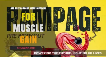Pre-Workout Meals: Essential Fuel for Maximizing Muscle Gain?
