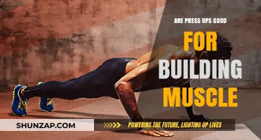 Unlocking Muscle Growth: The Power of Press-Ups Revealed