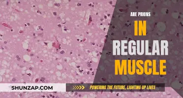 Prions: Hiding in Regular Muscle?