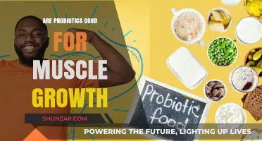 Probiotics and Muscle Growth: Unlocking the Gut-Muscle Connection