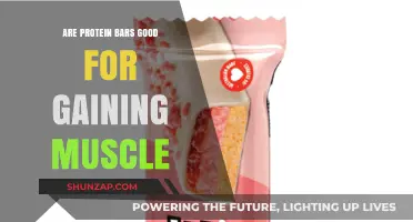 Protein Bars for Muscle Gain: Effective Snack or Overhyped Trend?