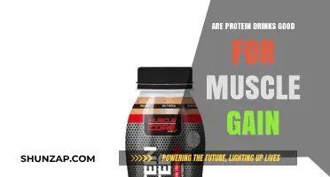 Protein Drinks for Muscle Gain: Benefits, Myths, and Best Practices