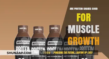 Protein Shakes for Muscle Growth: Benefits, Myths, and Best Practices