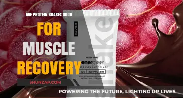 Protein Shakes for Muscle Recovery: Benefits, Timing, and Best Practices