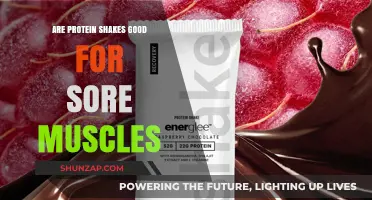 Protein Shakes for Sore Muscles: Recovery Benefits and Best Practices
