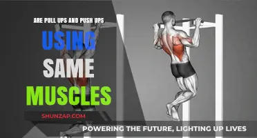 Pull-Ups vs. Push-Ups: Shared Muscles or Distinct Workouts?