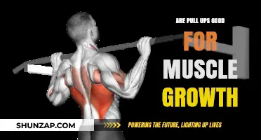 Pull-Ups for Muscle Growth: Effective Exercise or Overrated Myth?
