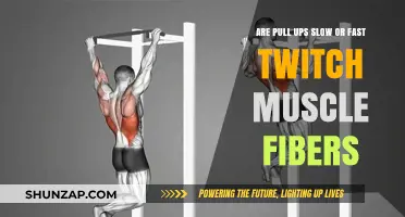 Pull-Ups: Unlocking Slow vs. Fast Twitch Muscle Fiber Secrets