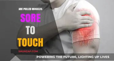 Pulled Muscles: Understanding Tenderness and Touch Sensitivity in Recovery
