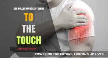 Pulled Muscles: Understanding Tenderness and Touch Sensitivity Explained