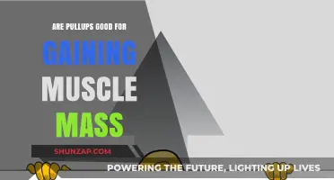 Pull-Ups for Muscle Mass: Effective Exercise or Overrated Myth?