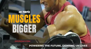 Muscle Pumping: Bigger Muscles or Just a Temporary Illusion?