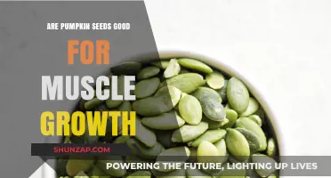 Pumpkin Seeds and Muscle Growth: Unlocking Nature's Protein Powerhouse