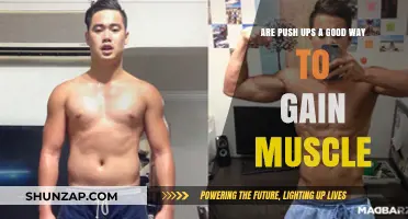 Push Ups for Muscle Gain: Effective or Overrated?