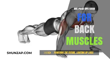 Push Ups for Back Strength: Benefits and Proper Form Explained