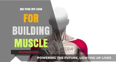 Push-Ups: The Ultimate Muscle-Building Exercise?