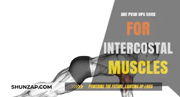 Push-Ups and Intercostal Muscles: Strengthening Your Rib Cage Naturally