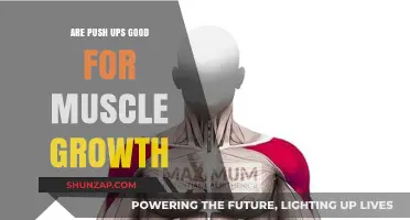 Push Ups for Muscle Growth: Effective or Overrated?