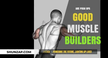 Push Ups: Effective Muscle Builder or Just a Basic Exercise?