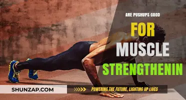Pushups for Muscle Strength: Effective Exercise or Overrated Move?