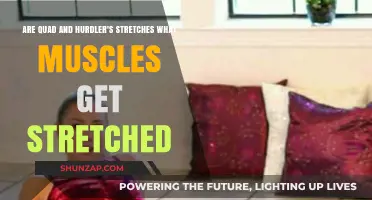 Unlocking Flexibility: Quad and Hurdler's Stretches Explained