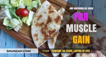 Quesadillas for Muscle Gain: A Tasty Protein-Packed Option?
