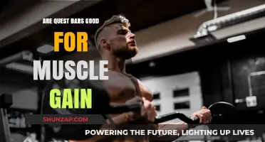 Quest Bars for Muscle Gain: Effective Protein Boost or Overhyped Snack?