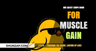 Quest Chips for Muscle Gain: Healthy Snack or Hindrance?