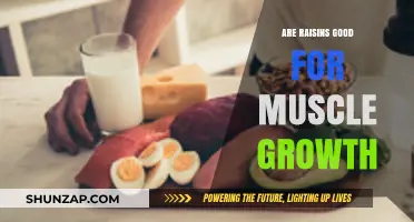 Raisins and Muscle Growth: Unlocking Nature's Sweet Protein Boost