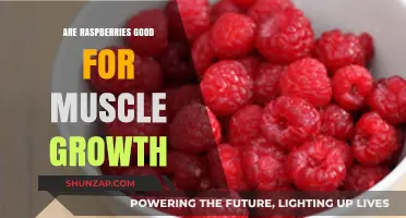 Raspberries and Muscle Growth: Unlocking the Berry's Potential for Fitness