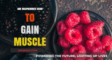 Raspberries for Muscle Gain: Unlocking Their Nutritional Power
