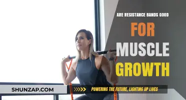 Resistance Bands for Muscle Growth: Effective Tool or Just a Trend?