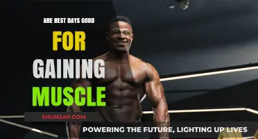 Rest Days and Muscle Gain: Unlocking Growth Through Recovery