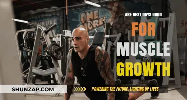 Rest Days and Muscle Growth: Unlocking the Benefits of Recovery