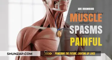 Rhomboid Muscle Spasms: Understanding the Pain and Relief Options