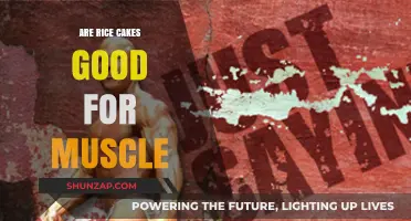 Rice Cakes for Muscle Growth: Benefits, Nutrition, and Best Practices