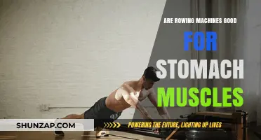 Rowing Machines: Effective for Toning and Strengthening Stomach Muscles?