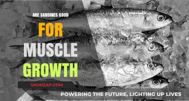 Sardines for Muscle Growth: Unlocking Protein Power in Tiny Fish