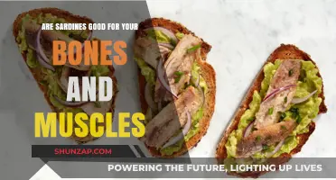 Sardines: A Nutritional Powerhouse for Stronger Bones and Muscles?