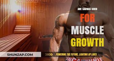 Saunas and Muscle Growth: Unlocking Recovery and Hypertrophy Benefits