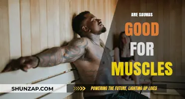 Saunas and Muscle Recovery: Benefits, Myths, and Effective Use