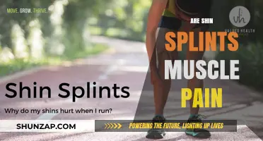 Shin Splints vs. Muscle Pain: Understanding the Difference and Causes