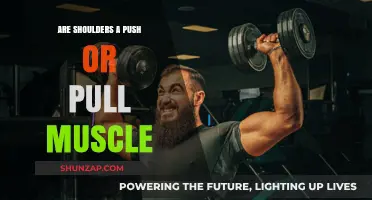 Shoulders: Understanding Push vs. Pull Muscle Functions in Training