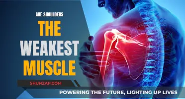 Shoulders: Weakest Muscle or Just Misunderstood?