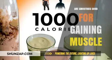 Smoothies for Muscle Gain: Effective Fuel or Overhyped Trend?