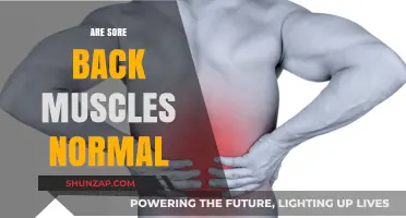 Is Back Muscle Soreness Normal? Understanding Post-Workout Pain and Recovery