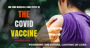 Sore Muscles After COVID Vaccine: Common Side Effect Explained