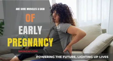 Sore Muscles and Early Pregnancy: Understanding the Connection