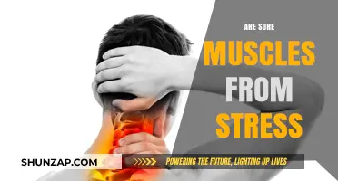Can Stress Cause Sore Muscles? Understanding the Mind-Body Connection